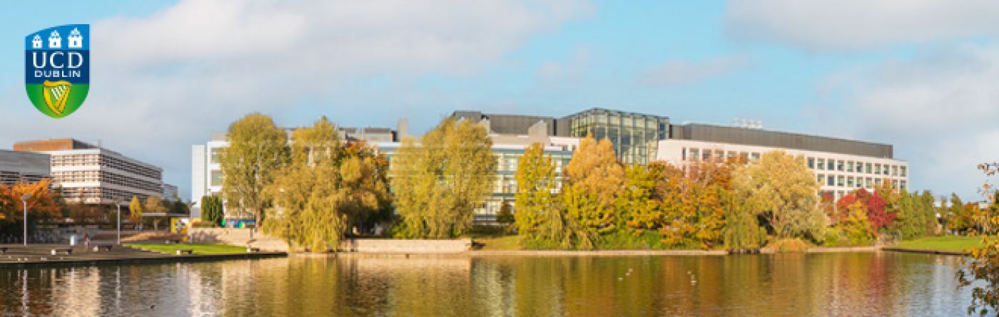 UCD