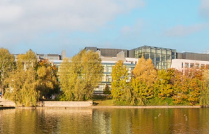 UCD